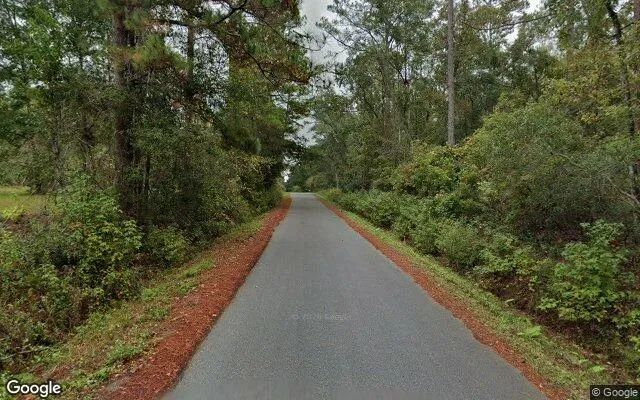 Decorative background for 3.51 Acres in Monticello - Jefferson County, FL image 5