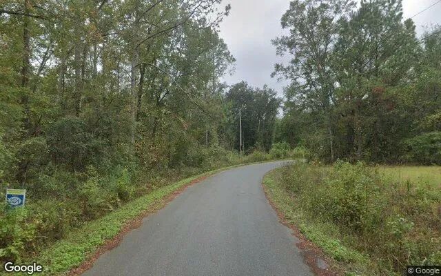 Decorative background for 3.51 Acres in Monticello - Jefferson County, FL image 6