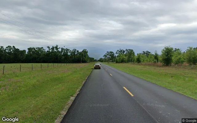 Decorative background for 1.52 Acres in Mayo - Lafayette County, FL image 5