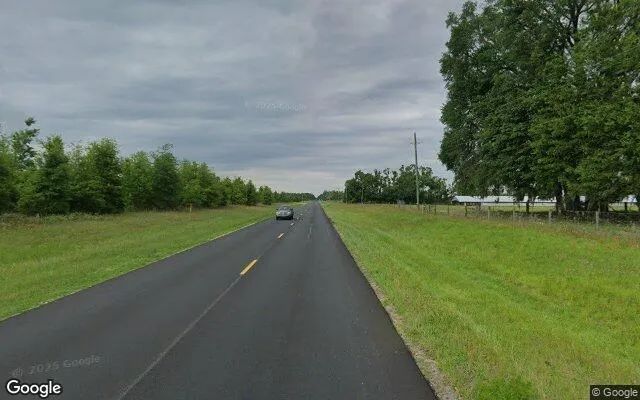 Decorative background for 1.52 Acres in Mayo - Lafayette County, FL image 6