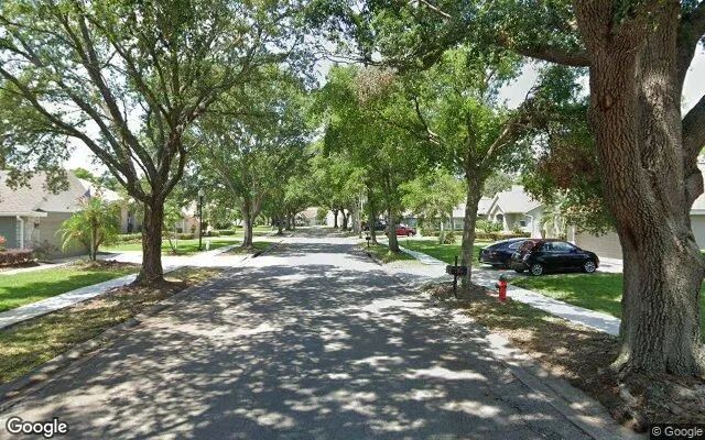 Decorative background for 0.11 Acres in Mount Dora - Lake County, FL image 5