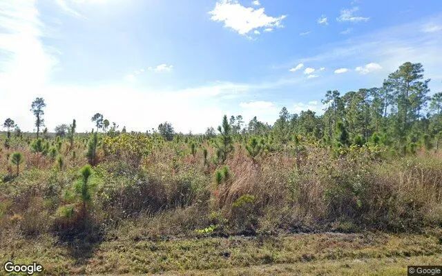 0.55 Acres in Indian Lake Estates - Polk County, FL in Polk County, FL