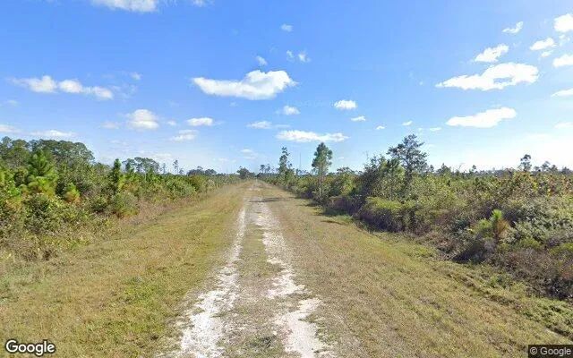 Decorative background for 0.55 Acres in Indian Lake Estates - Polk County, FL image 5