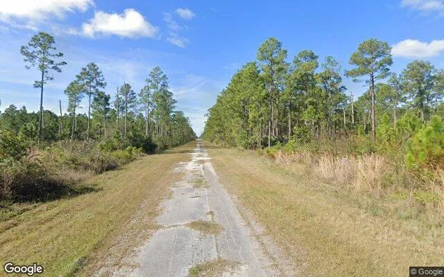 Decorative background for 0.55 Acres in Indian Lake Estates - Polk County, FL image 6