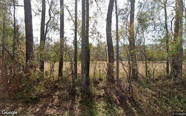 7.54 Acres in Greenville - Madison County, FL in Madison County, FL
