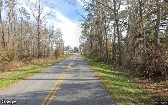 Decorative background for 7.54 Acres in Greenville - Madison County, FL image 5