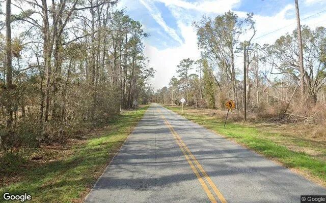 Decorative background for 7.54 Acres in Greenville - Madison County, FL image 6