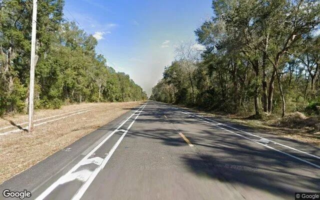 Decorative background for 0.55 Acres in Bronson - Levy County, FL image 5