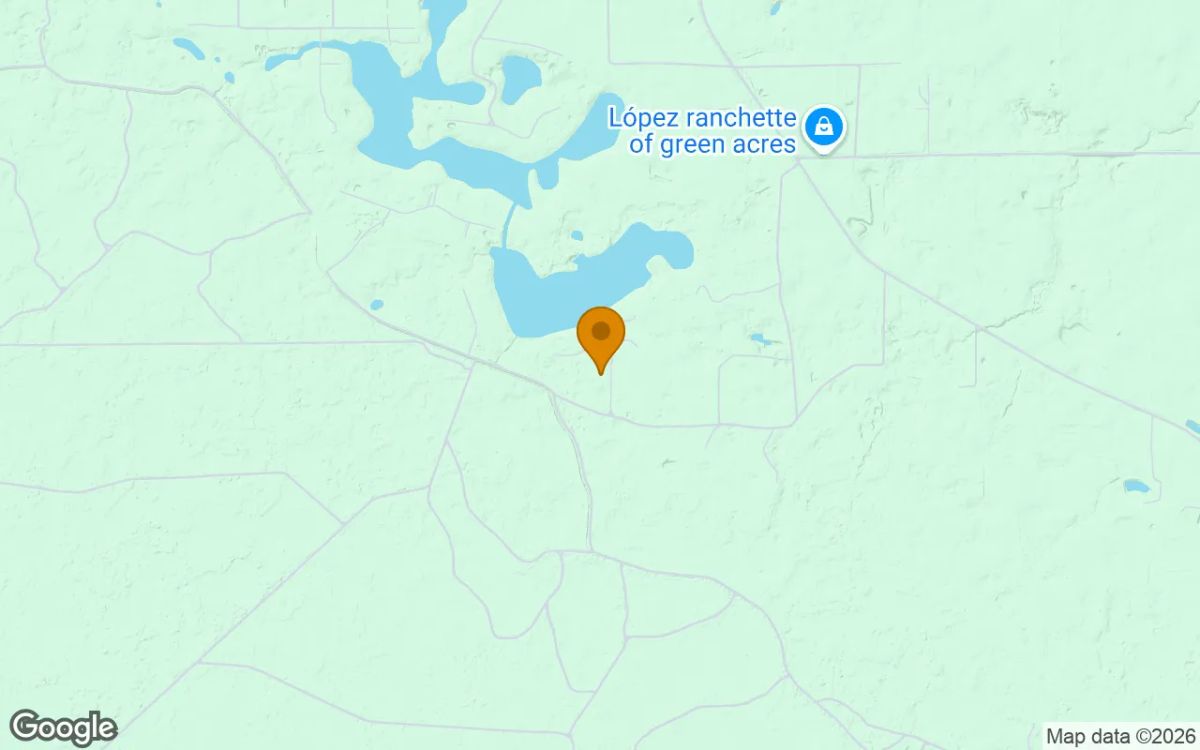 Decorative background for 1.54 Acres in Branford - Lafayette County, FL image 5
