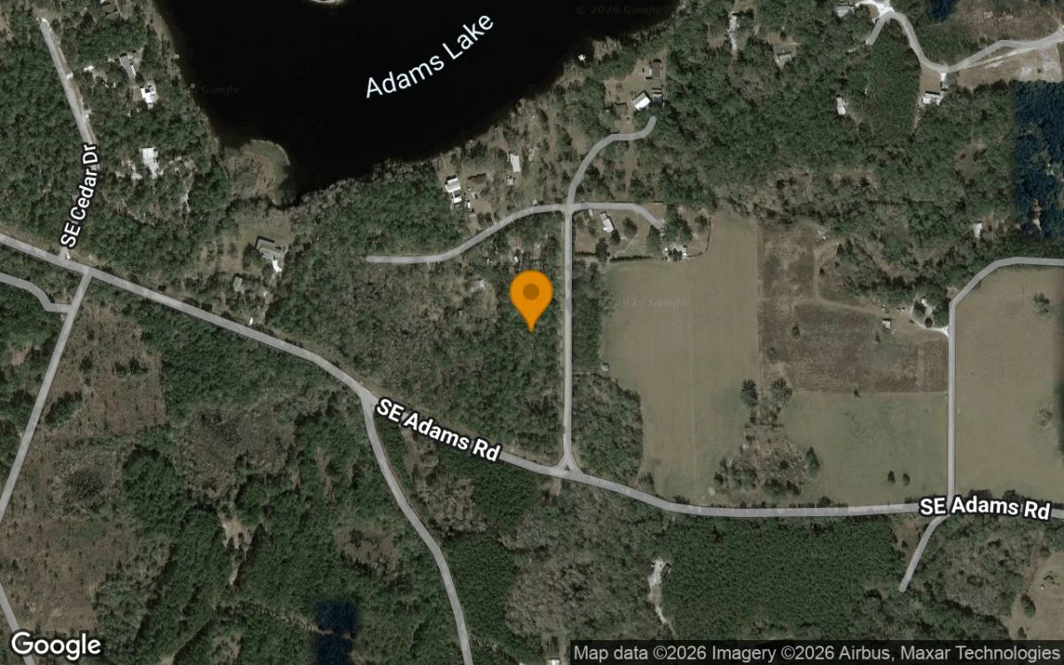 Decorative background for 1.54 Acres in Branford - Lafayette County, FL image 6
