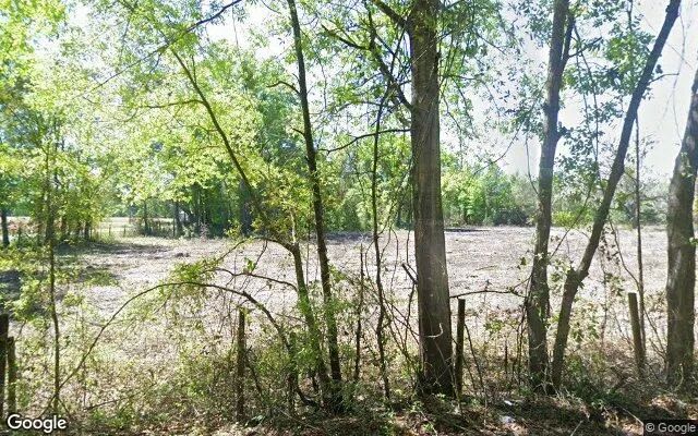 0.23 Acres in Brooker - Bradford County, FL - Image 4