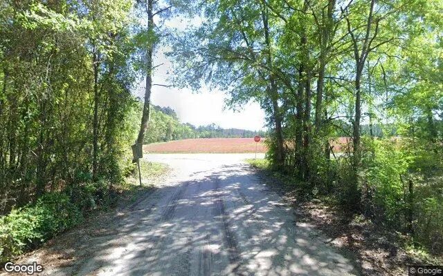 Decorative background for 0.23 Acres in Brooker - Bradford County, FL image 5