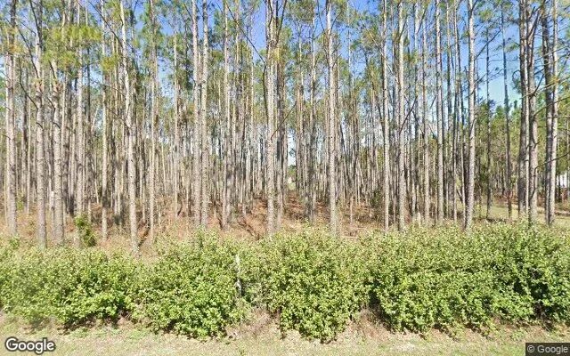 7.49 Acres in Suwannee - Suwannee County, FL - Image 4