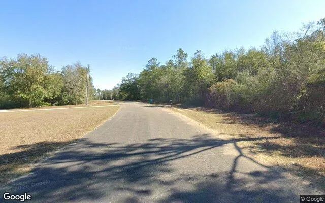 Decorative background for 1.5 Acres in Alford - Jackson County, FL image 5