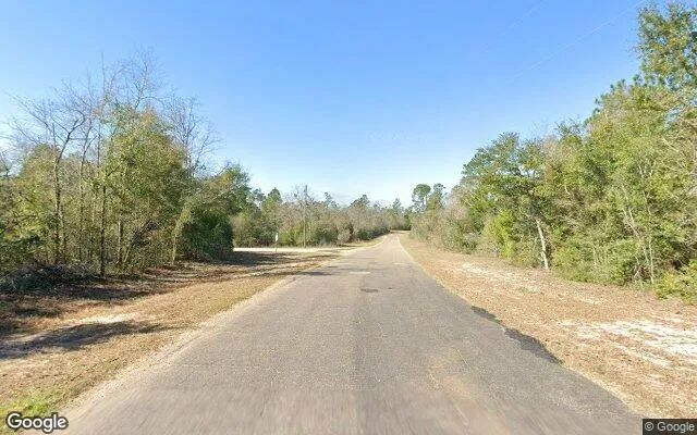 Decorative background for 1.5 Acres in Alford - Jackson County, FL image 6