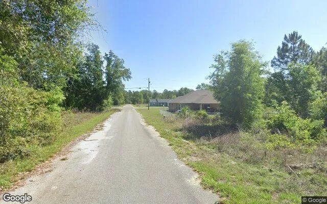 Decorative background for 0.23 Acres in Ocklawaha - Marion County, FL image 5