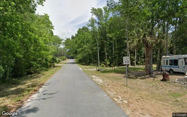 Decorative background for 0.2 Acres in Lake Panasoffkee - Sumter County, FL image 6