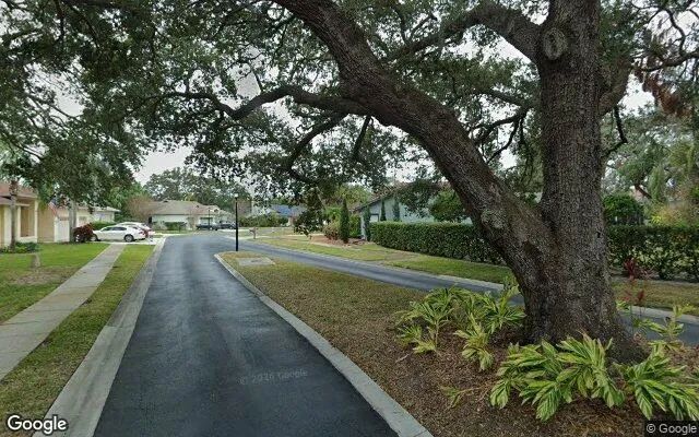 Decorative background for 0.55 Acres in Clearwater - Pinellas County, FL image 5
