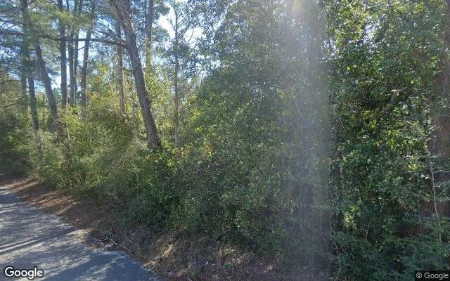 Decorative background for 0.55 Acres in Niceville - Okaloosa County, FL image 5