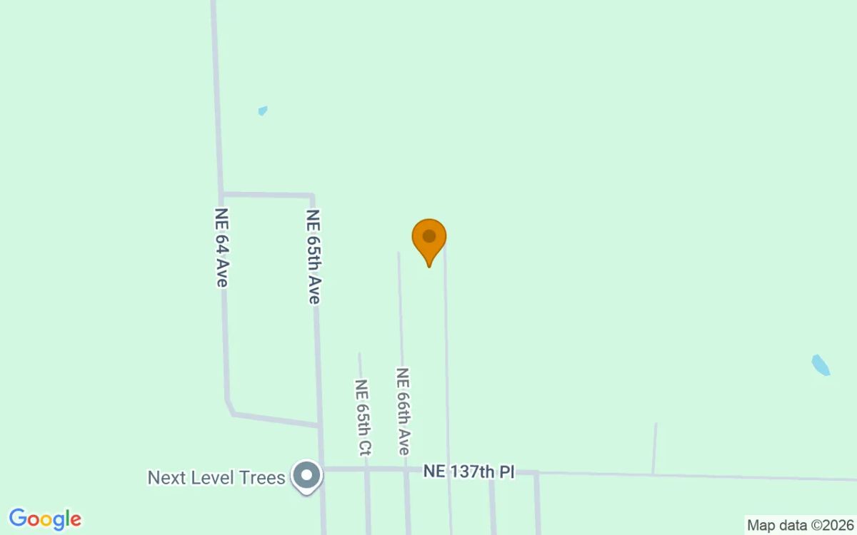 0.2 Acres in Citra - Marion County, FL - Image 2