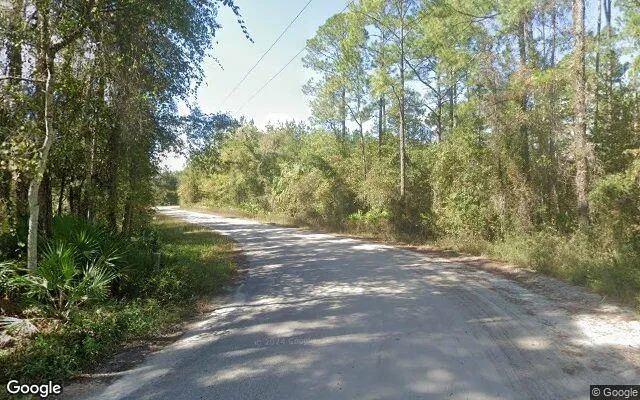 Decorative background for 0.2 Acres in Citra - Marion County, FL image 5