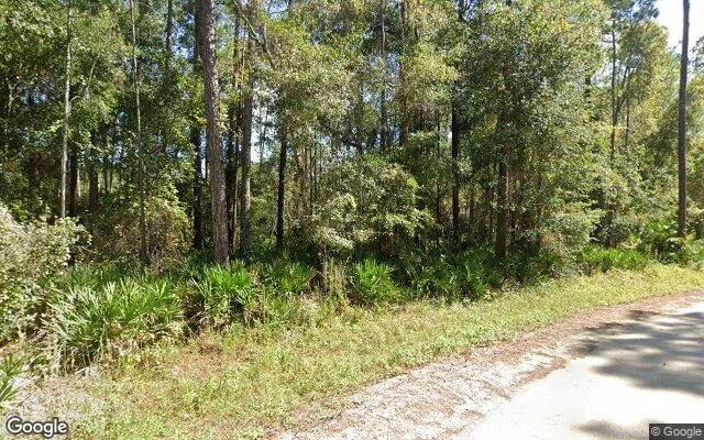 Decorative background for 0.2 Acres in Citra - Marion County, FL image 6