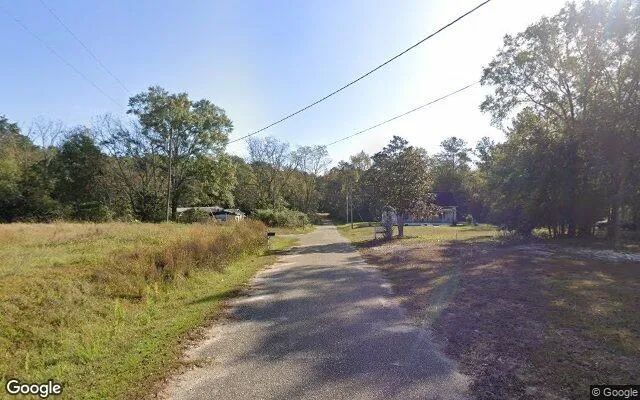 Decorative background for 0.32 Acres in Noma - Holmes County, FL image 6