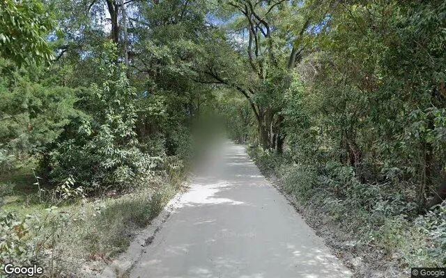 Decorative background for 1 Acres in Newberry - Alachua County, FL image 5