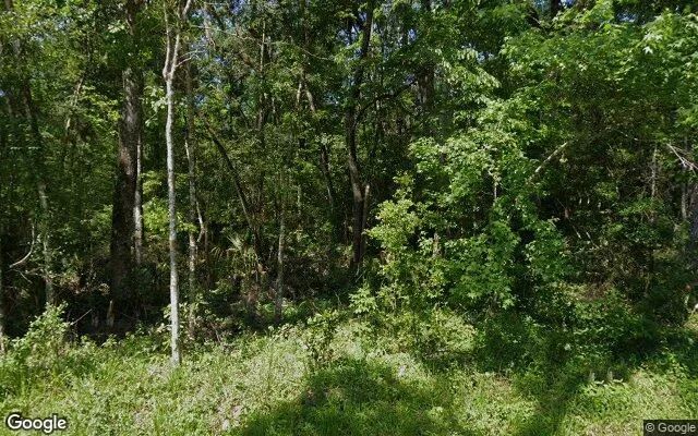 3.52 Acres in Old Town - Dixie County, FL - Image 4