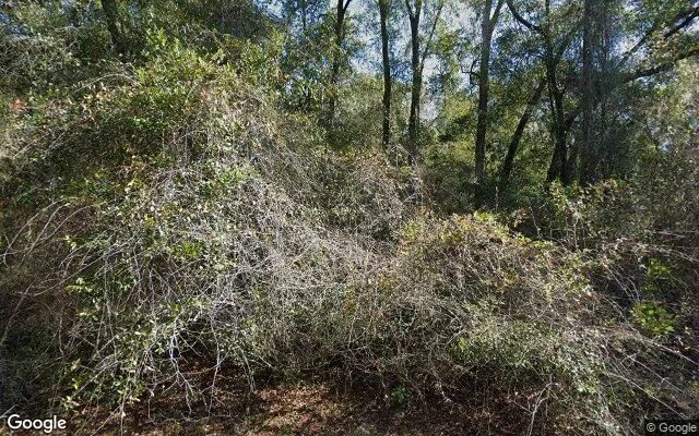 0.25 Acres in Fort White - Columbia County, FL in Columbia County, FL