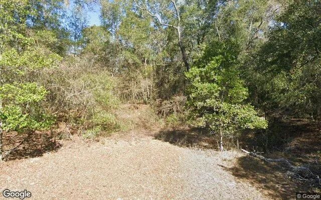 Decorative background for 0.25 Acres in Fort White - Columbia County, FL image 5