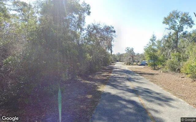 Decorative background for 0.25 Acres in Fort White - Columbia County, FL image 6