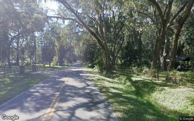 Decorative background for 0.32 Acres in Earleton - Alachua County, FL image 5