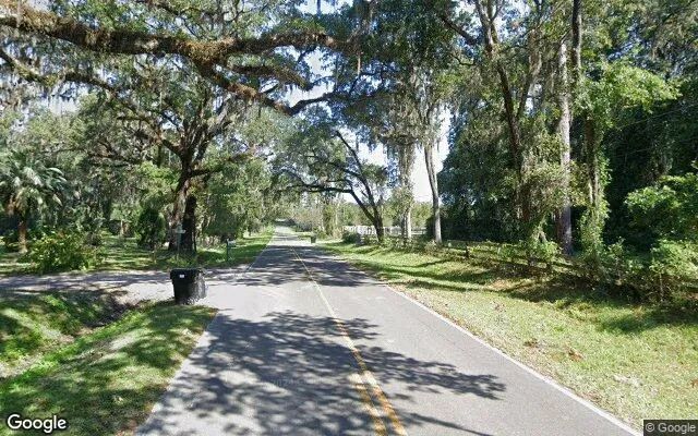 Decorative background for 0.32 Acres in Earleton - Alachua County, FL image 6
