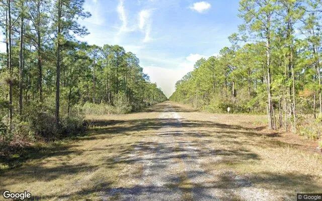 Decorative background for 0.55 Acres in Indian Lake Estates - Polk County, FL image 5