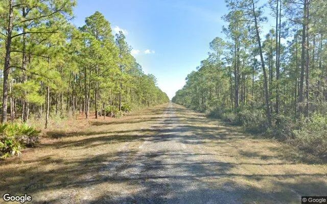 Decorative background for 0.55 Acres in Indian Lake Estates - Polk County, FL image 6