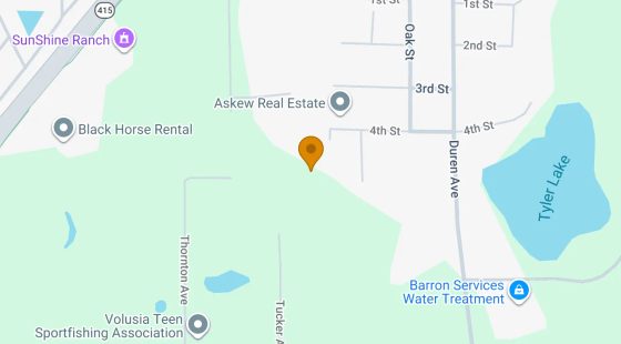 0.55 Acres in Osteen - Volusia County, FL in Volusia County, FL