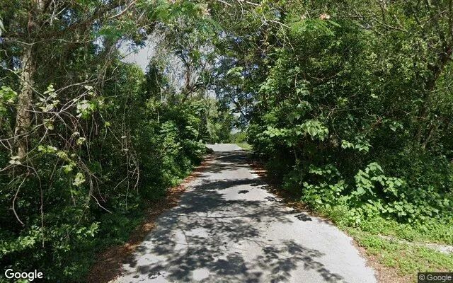 Decorative background for 0.23 Acres in Belleview - Marion County, FL image 5
