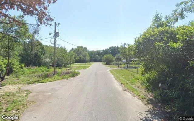 Decorative background for 0.23 Acres in Belleview - Marion County, FL image 6