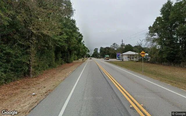 Decorative background for 0.55 Acres in Defuniak Springs - Walton County, FL image 6