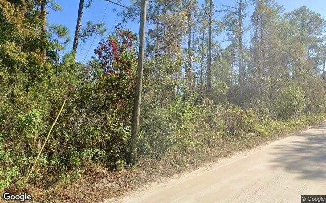 Decorative background for 1.18 Acres in New Smyrna Beach - Volusia County, FL image 5