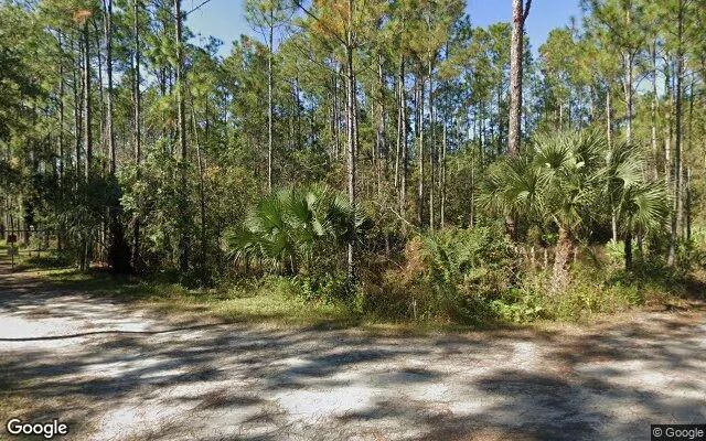 Decorative background for 1.18 Acres in New Smyrna Beach - Volusia County, FL image 6