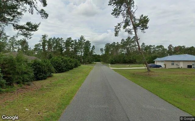 Decorative background for 0.55 Acres in Anthony - Marion County, FL image 6