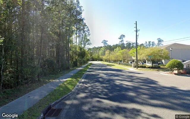 Decorative background for 0.55 Acres in Jacksonville - Duval County, FL image 6