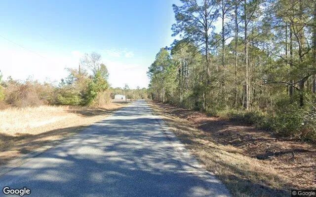 Decorative background for 1.01 Acres in Sanderson - Baker County, FL image 6