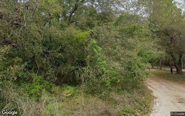 Decorative background for 0.32 Acres in Satsuma - Putnam County, FL image 5