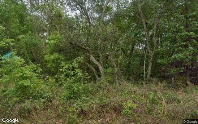 Decorative background for 0.32 Acres in Satsuma - Putnam County, FL image 6