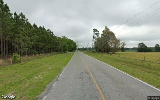Decorative background for 3.52 Acres in Old Town - Dixie County, FL image 6