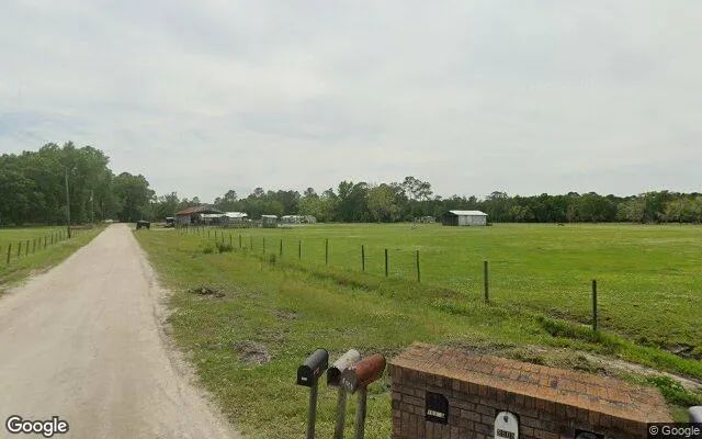 Decorative background for 3.53 Acres in Starke - Bradford County, FL image 5