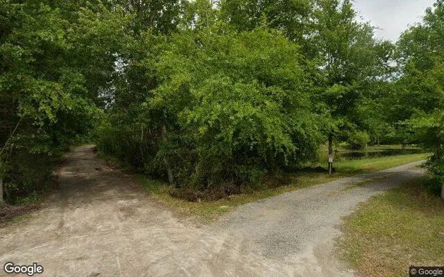 Decorative background for 3.53 Acres in Starke - Bradford County, FL image 6